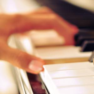 全球管理小鸡导航
