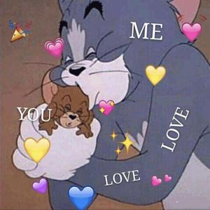 全球管理小鸡导航
