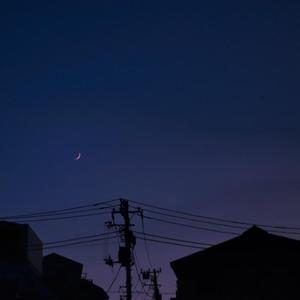 全球管理小鸡导航
