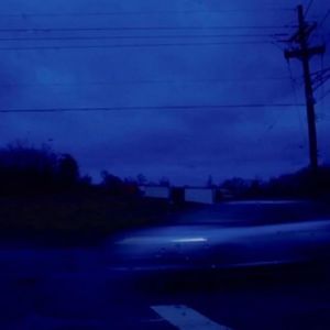 全球管理小鸡导航
