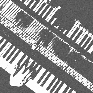 全球管理小鸡导航
